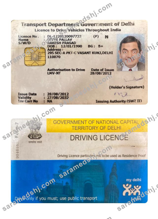 India Delhi driving license